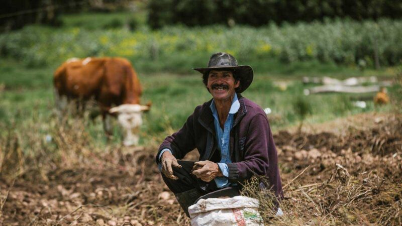 Gobierno Nacional anunció nuevos alivios financieros para los pequeños y medianos productores del campo