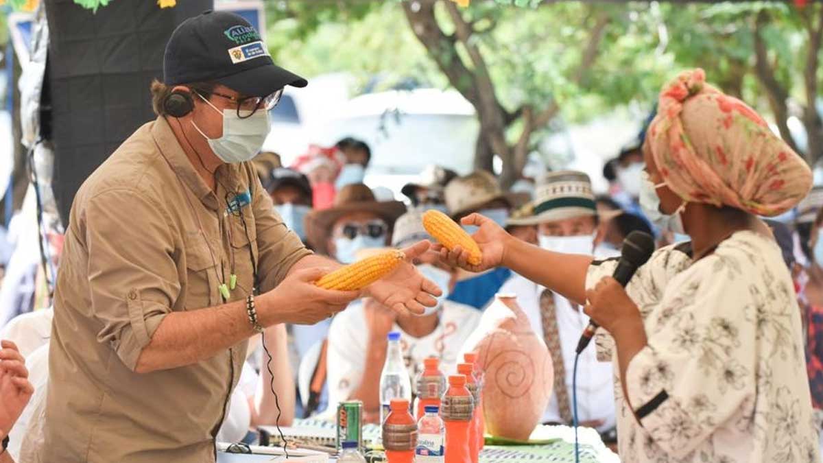Gobierno reglamentó el Fondo de Fomento para las Mujeres Rurales, para fortalecer apoyo a planes, programas y proyectos que impulsen su desarrollo
