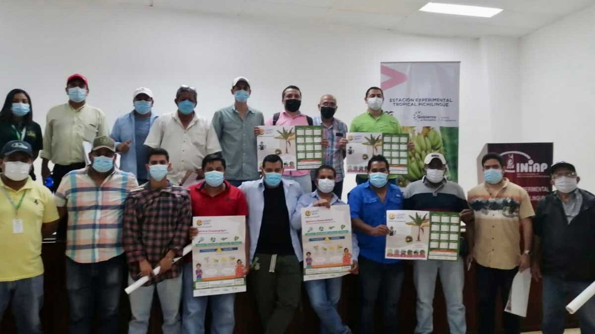 INIAP, MAG y AGROCALIDAD capacitan sobre enfermedades fitosanitarias en banano y plátano