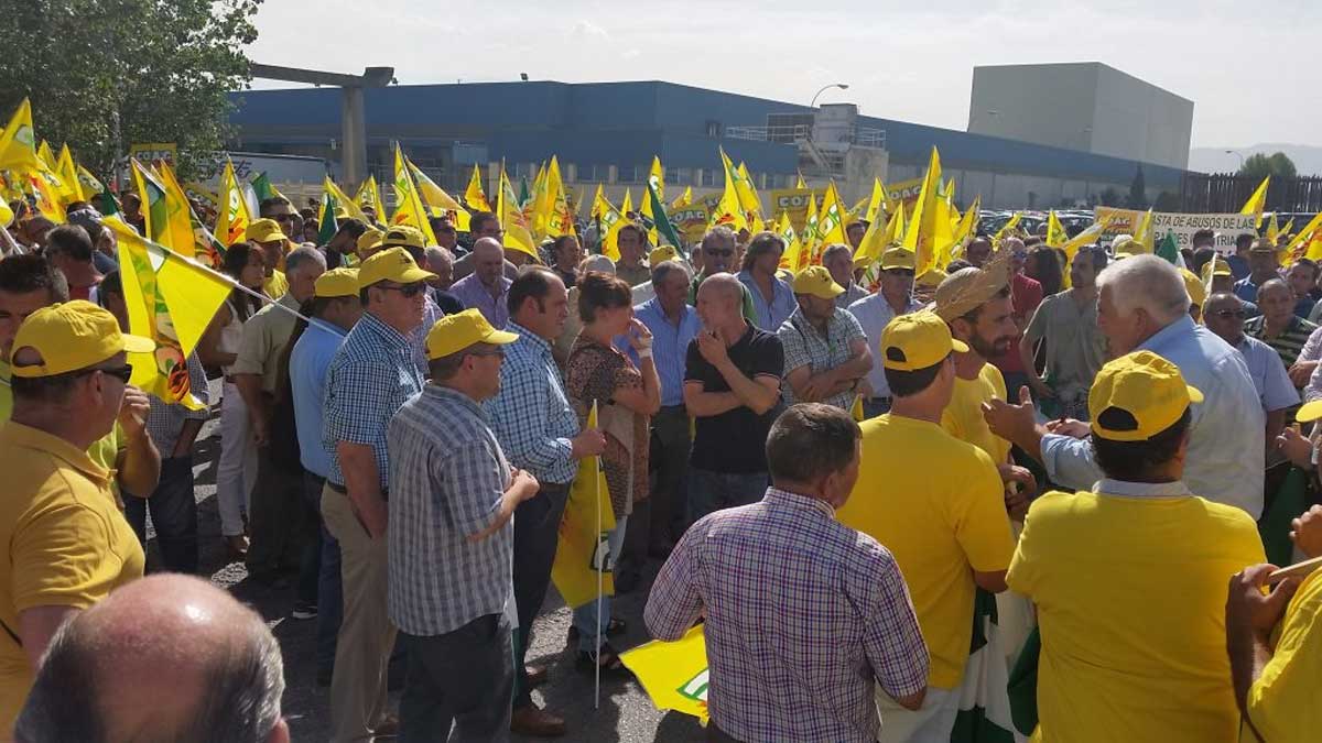 Indignación ganadera: Consideran inmoral que Lactalis doble sus beneficios «a costa de exprimir al ganadero»