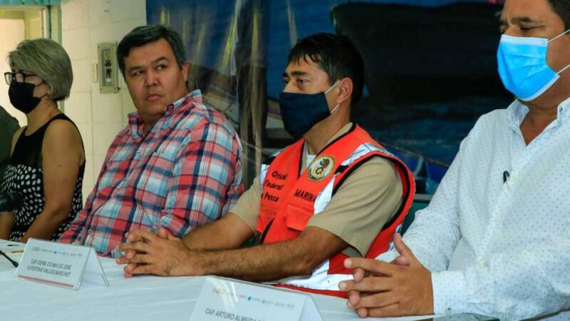 Inicia Conapesca primera fase del Plan Nacional de Acciones Preventivas sobre la Interacción de Tortugas Marinas con Embarcaciones Menores