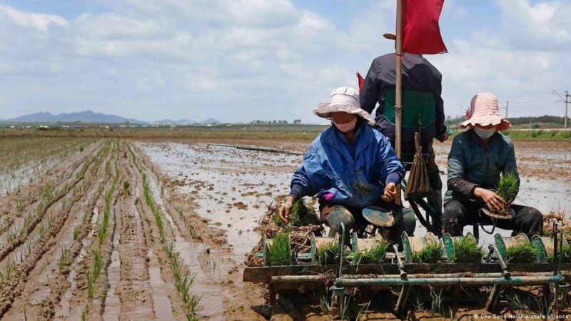 Kim Jong-un planea mantener cerradas las fronteras y empuja a su pueblo a la hambruna