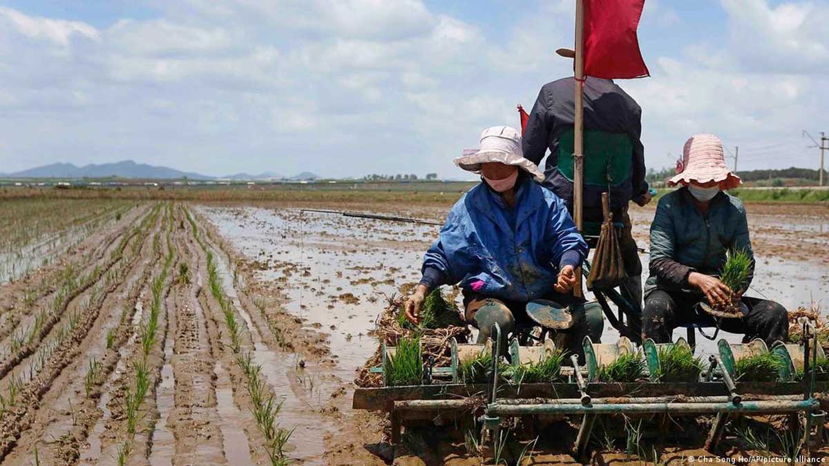 Kim Jong-un planea mantener cerradas las fronteras y empuja a su pueblo a la hambruna
