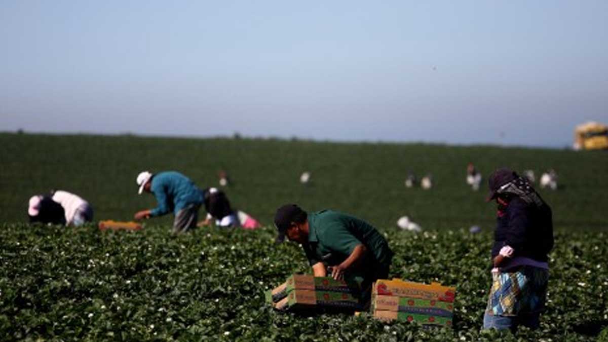 La FAO impulsa dos soluciones para la gestión sostenible de los suelos