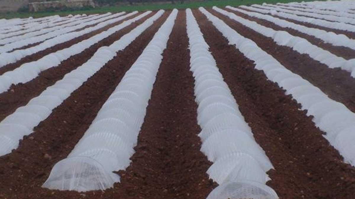 La ONU alerta de la alta contaminación con plásticos de los suelos de cultivo