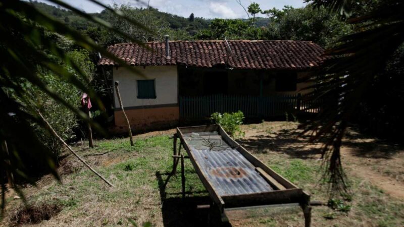 La crisis del café en Centroamérica impulsa un éxodo récord hacia el norte