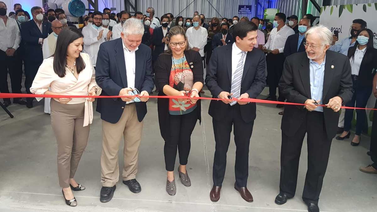 La primera planta de producción de harina de mosca de Latinoamérica se inauguró en Ecuador