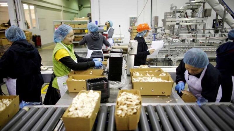 La situación de trabajadores agrícolas migrantes empeora