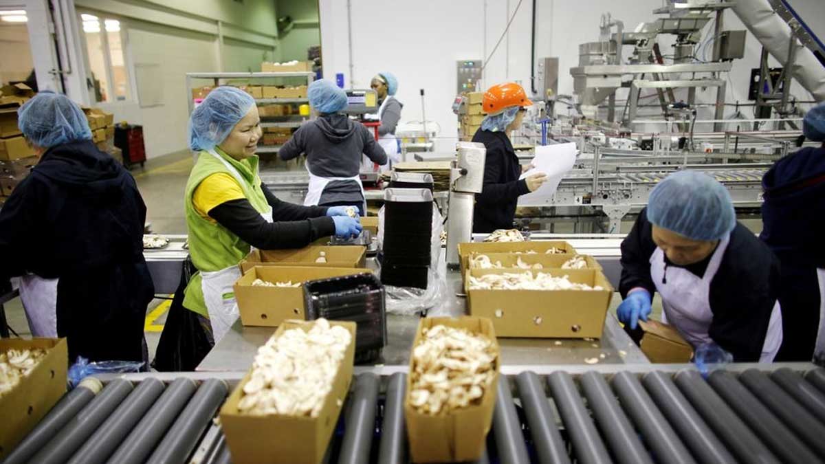 La situación de trabajadores agrícolas migrantes empeora