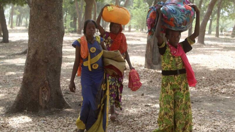 La violencia del norte de Camerún entre agricultores, pastores mata a 22; los residentes huyen