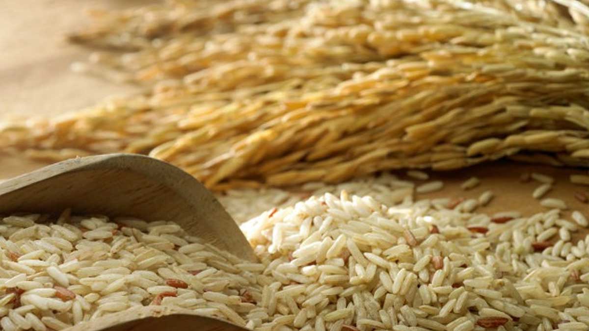 Las exportaciones de arroz nacional cayeron 95% este 2021