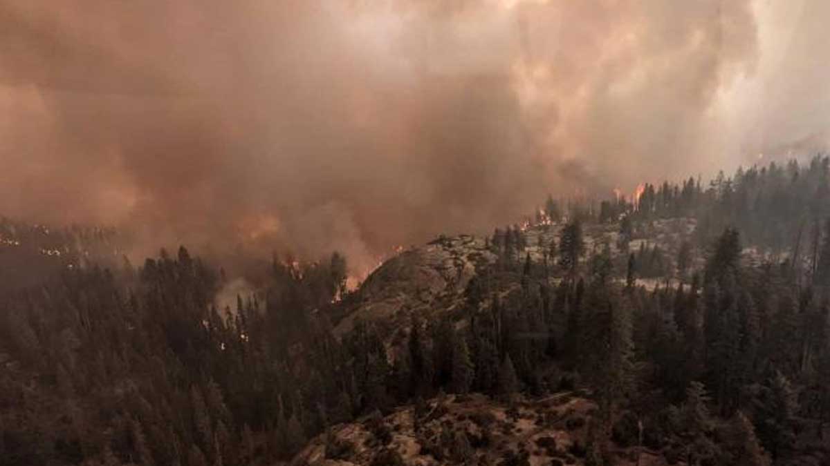 Los incendios forestales dejaron 1.760 megatoneladas de carbono globales en 2021