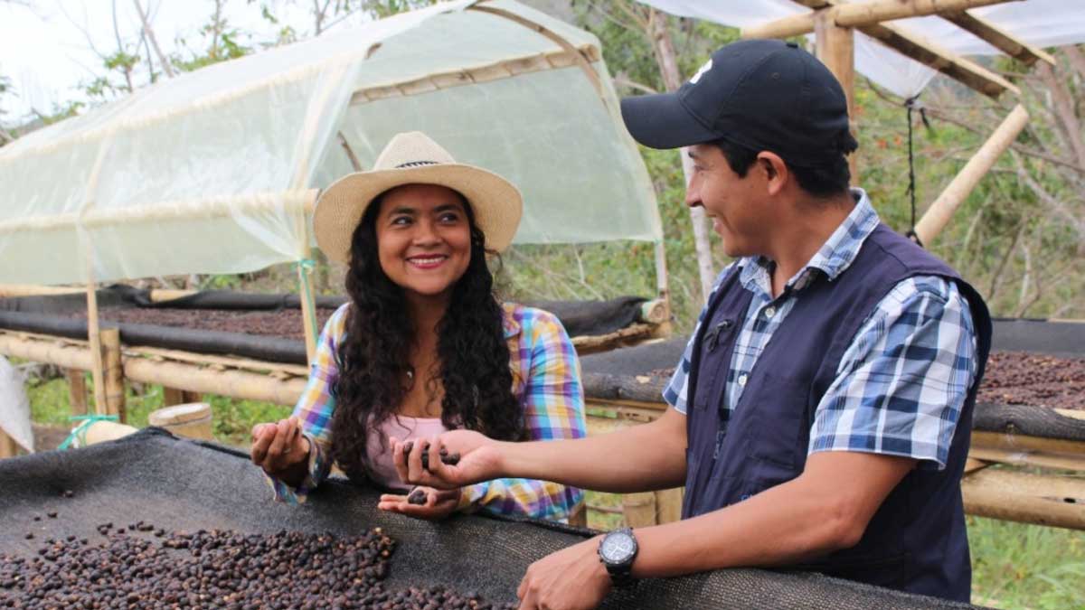 MAG impulsa servicio de agroasistencia financiera