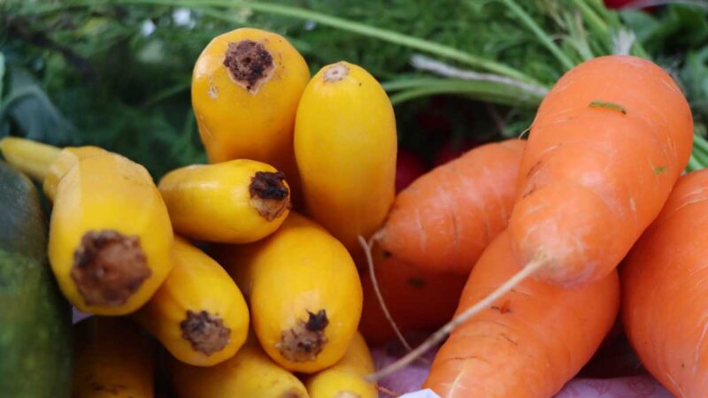 MAG presentó su proyecto SIPA 2.0, en la XXI Reunión Regular de la OIMA