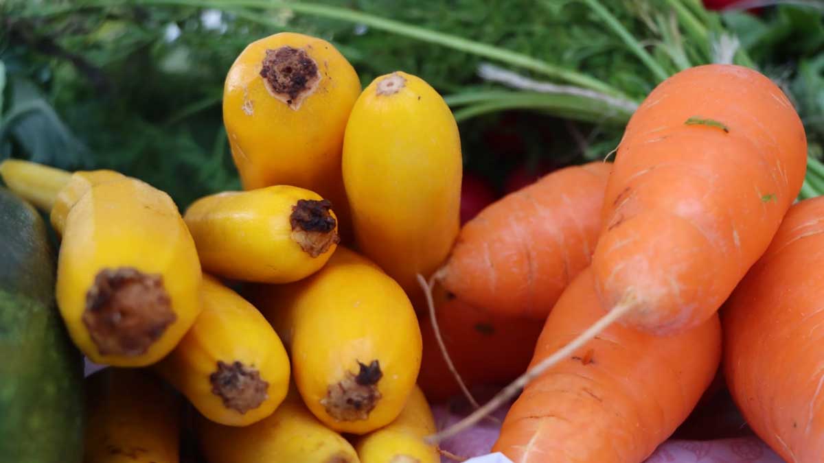 MAG presentó su proyecto SIPA 2.0, en la XXI Reunión Regular de la OIMA