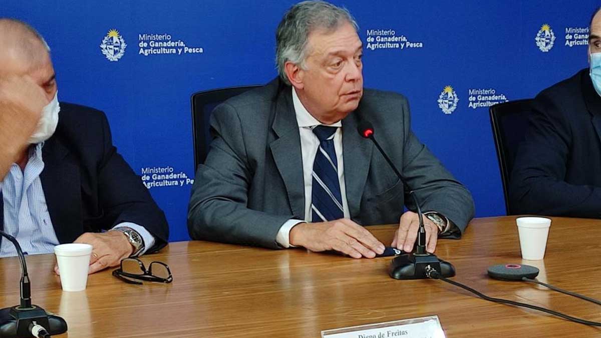 MGAP habilitó pastoreo de animales en la vía pública en 12 departamentos