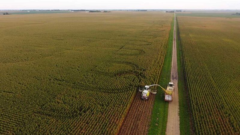 Plan de alivio de la deuda agrícola de Biden para excluir a miles de agricultores minoritarios