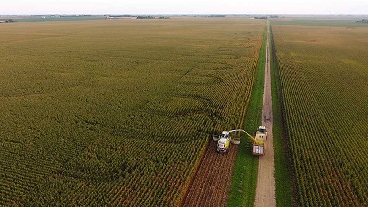 Plan de alivio de la deuda agrícola de Biden para excluir a miles de agricultores minoritarios