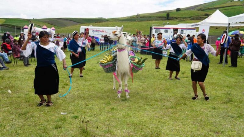 Prefectura entregó alpacas para fortalecer el turismo comunitario y conservación de páramos