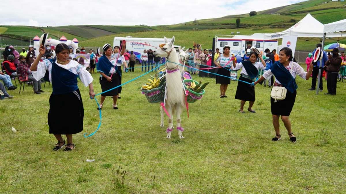 Prefectura entregó alpacas para fortalecer el turismo comunitario y conservación de páramos