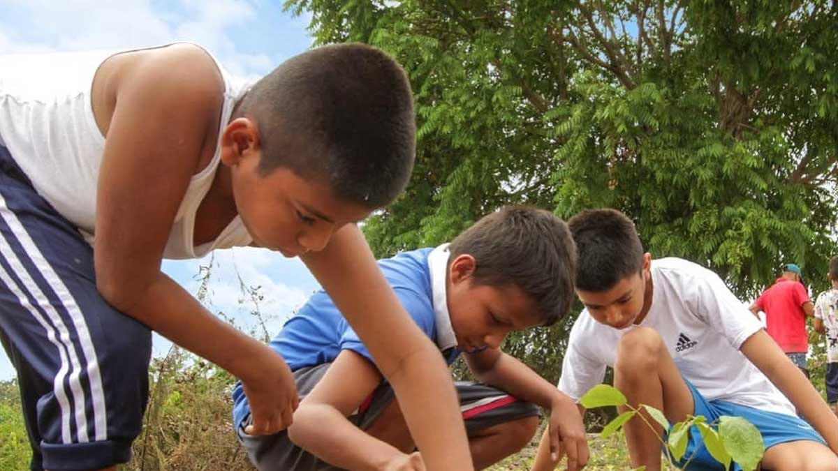 Se entregan 300 árboles nativos más a Santa Lucía
