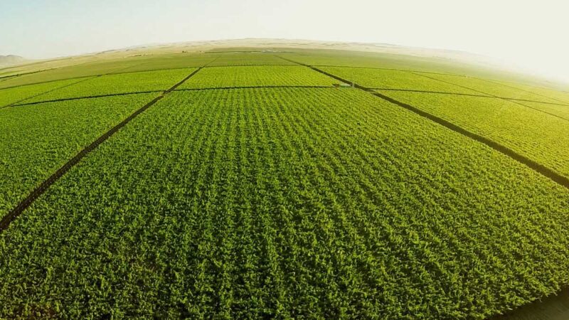 Argentina lanza primer satélite miniatura de origen nacional