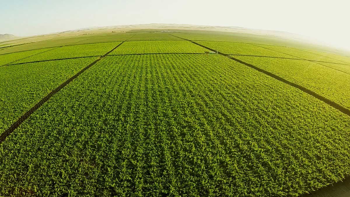 Argentina lanza primer satélite miniatura de origen nacional