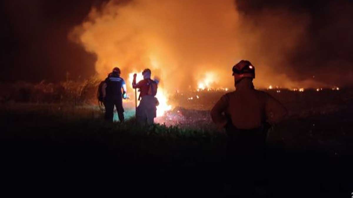 Bomberos de varios cantones manabitas atienden incendio forestal en San Vicente