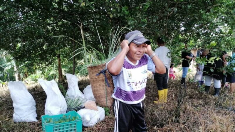Continúa la entrega de plantas medicinales y frutales