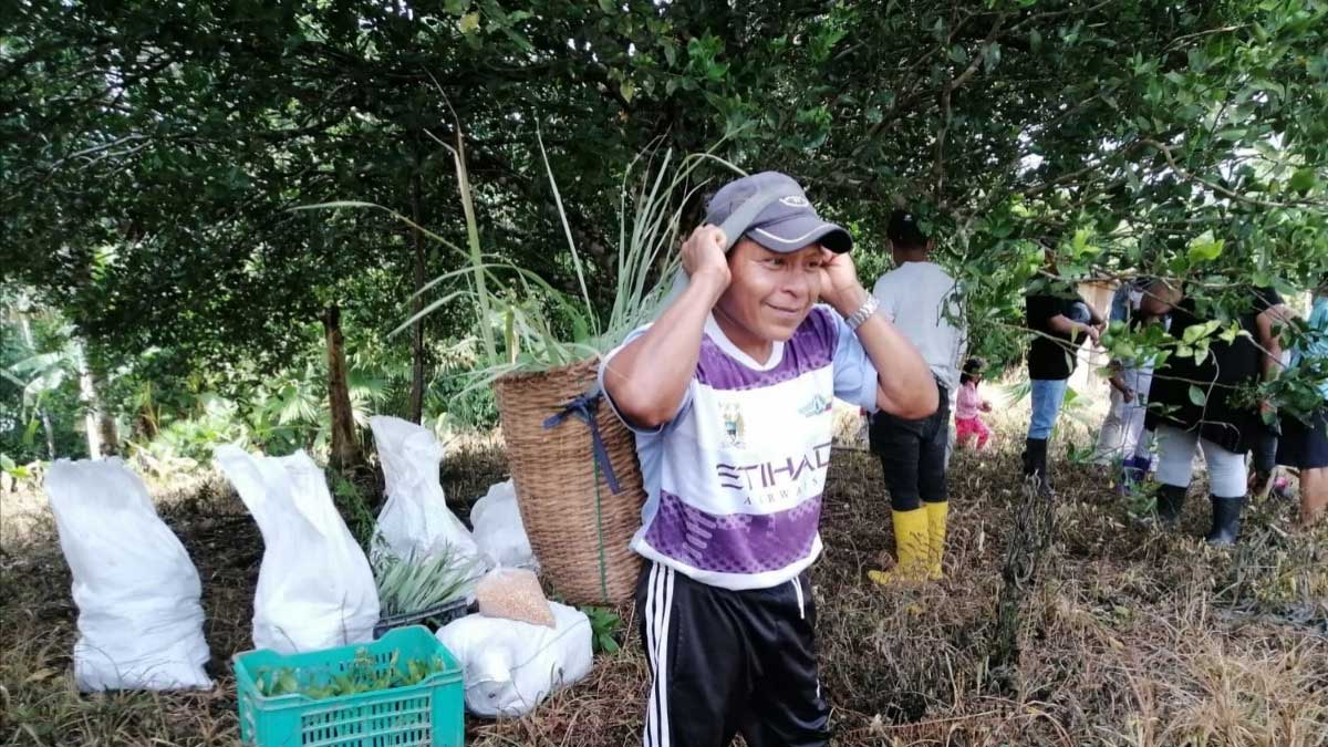Continúa la entrega de plantas medicinales y frutales