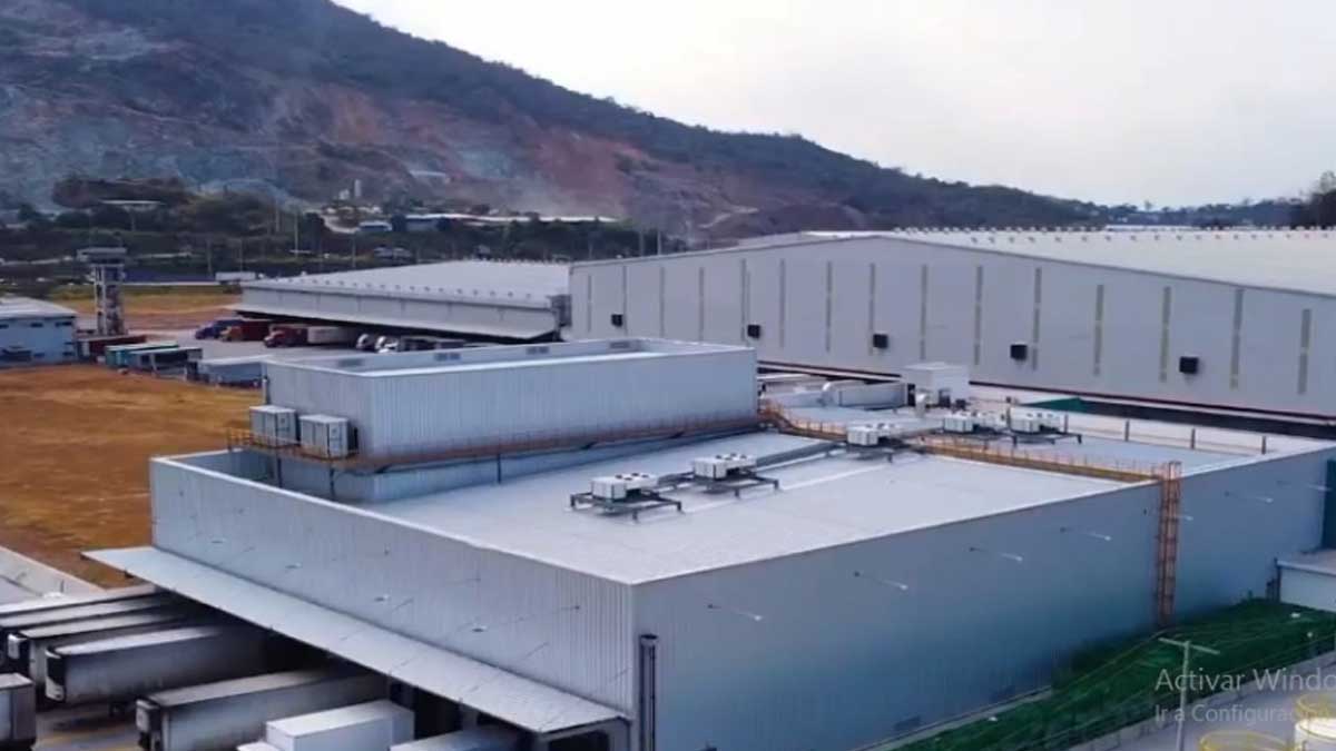 Corporación El Rosado abre nueva planta de frutas y verduras en la vía a Daule
