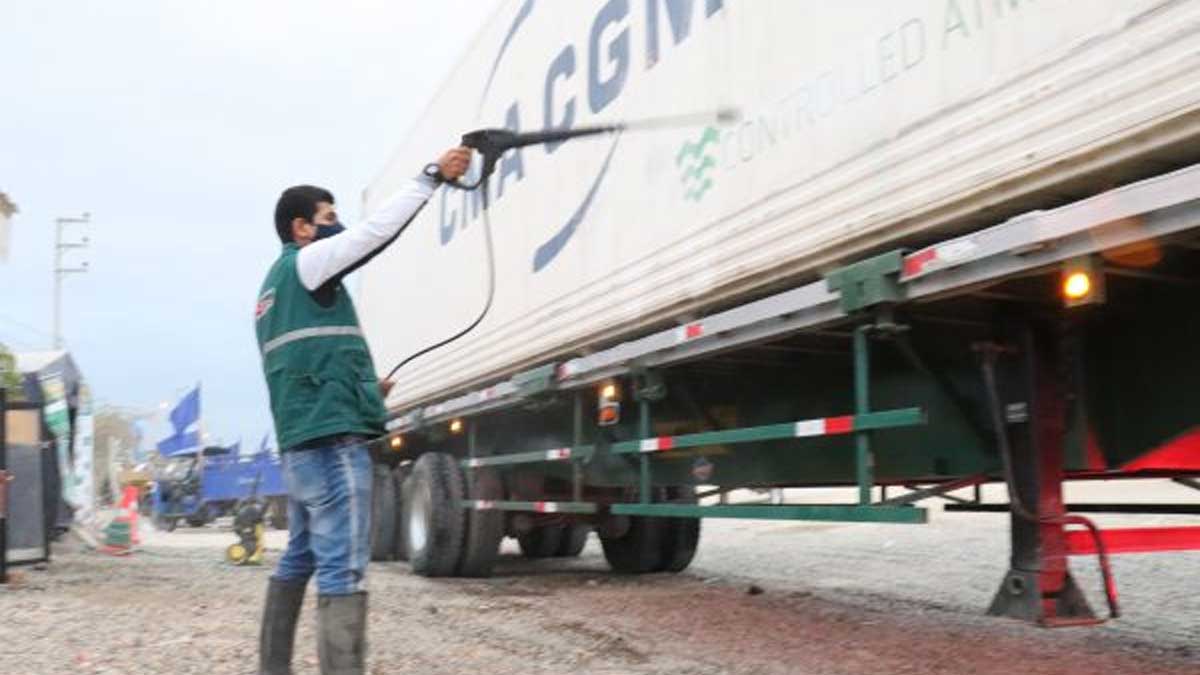 Piura: desinfección de contenedores agiliza exportaciones de plátano y banano