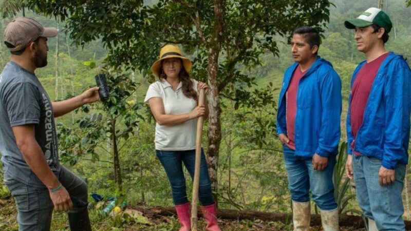 Ecuador exporta cacao producido de manera sostenible y libre de deforestación