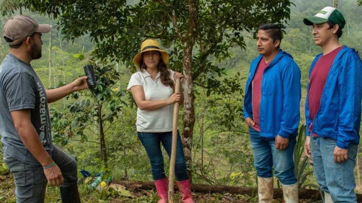 Ecuador exporta cacao producido de manera sostenible y libre de deforestación