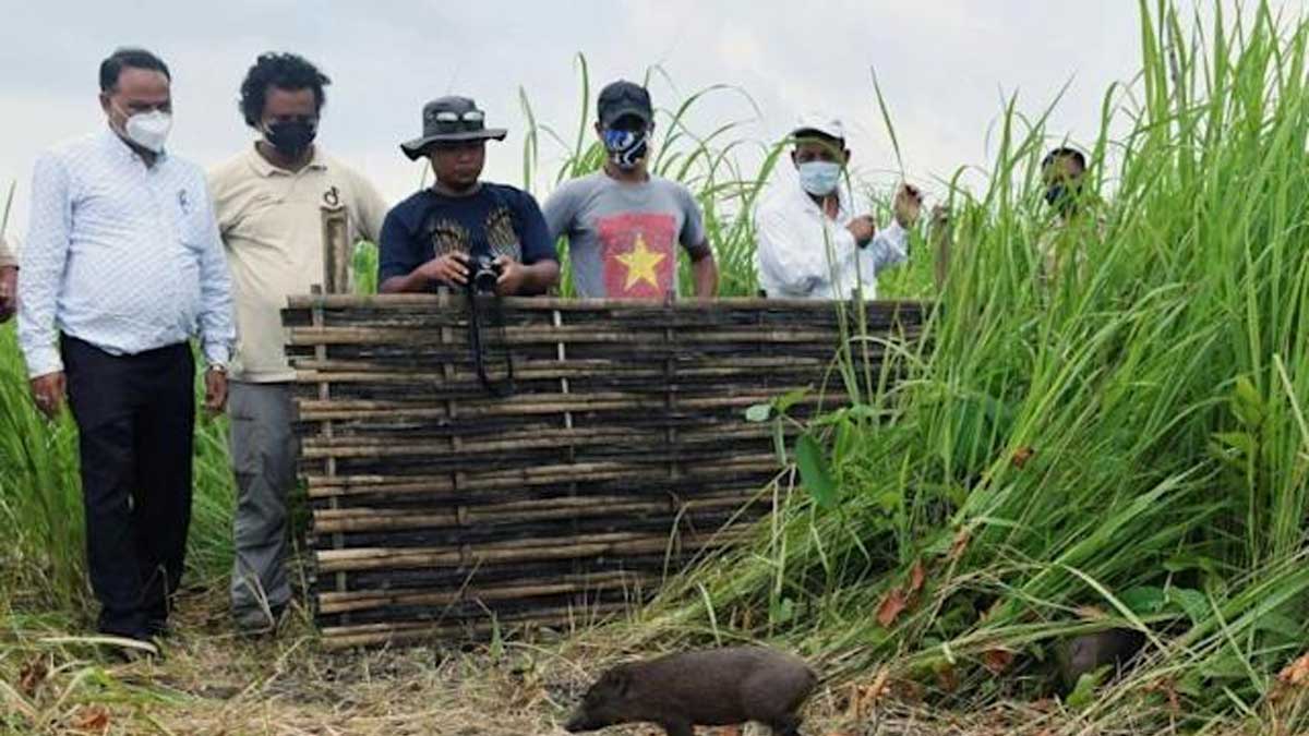 India permitirá la importación de carne de cerdo y productos de EE. UU., dicen funcionarios de EE. UU.