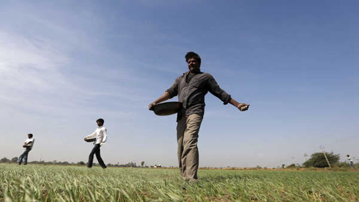 India planea más de $ 40 mil millones para subsidios de alimentos y fertilizantes para 2022/23