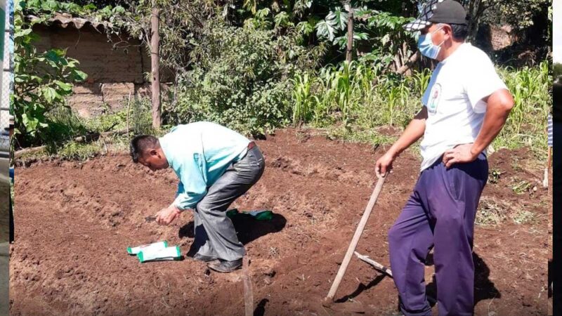 Inició la implementación de huertos familiares hortícolas