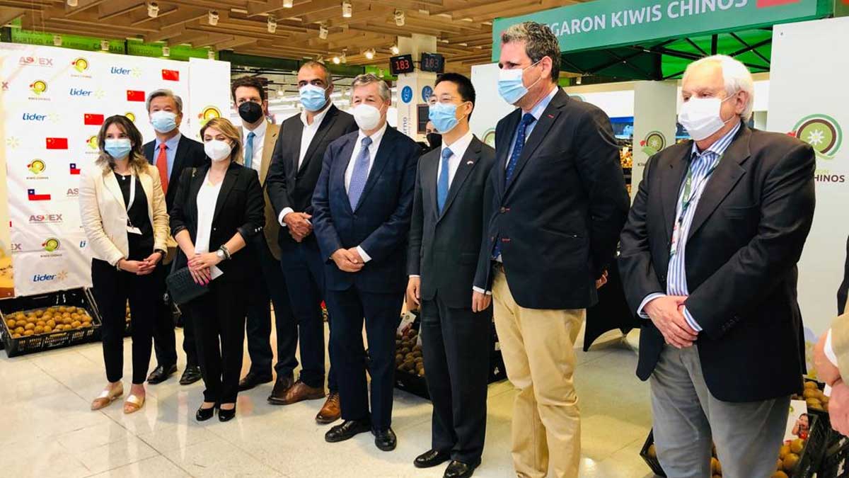 Kiwis chinos hacen su debut en el mercado chileno