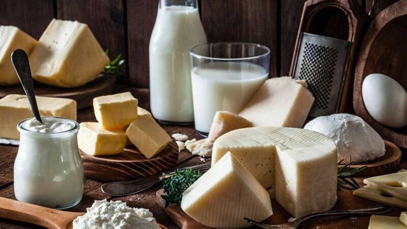 La leche y los derivados lácteos llegarán al mercado Israelí de la mano de la estrategia de Diplomacia Sanitaria