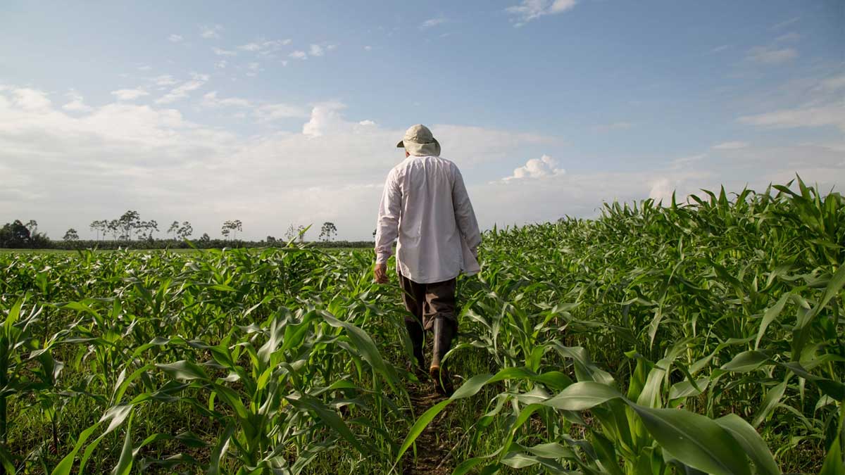 MAG pone a disposición de pequeños productores paquetes tecnológicos parcialmente subvencionados