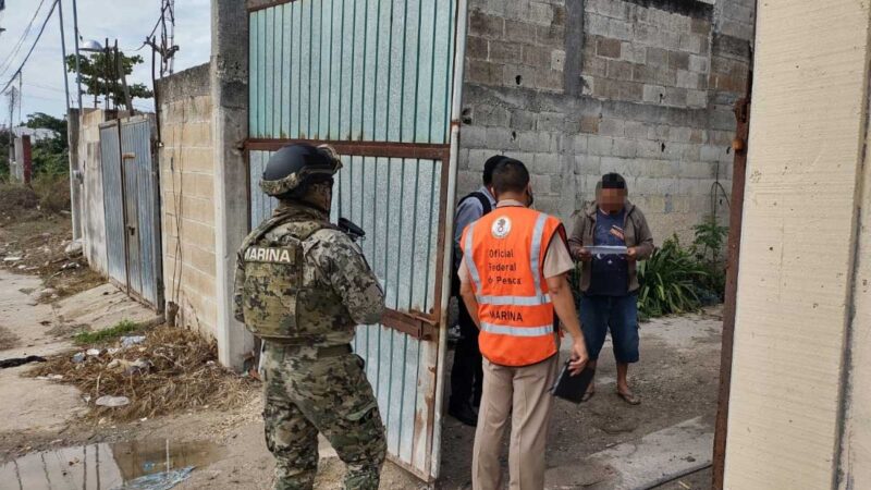 Marina en coordinación con Conapesca refuerza acciones de vigilancia e inspección en materia de pesca