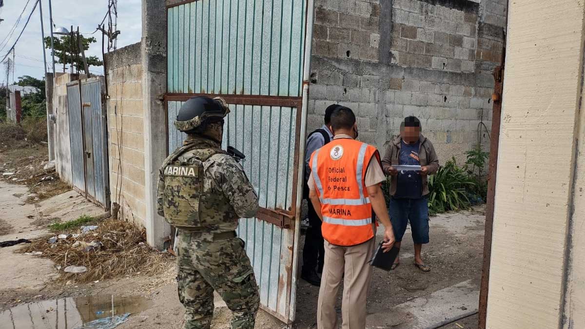 Marina en coordinación con Conapesca refuerza acciones de vigilancia e inspección en materia de pesca