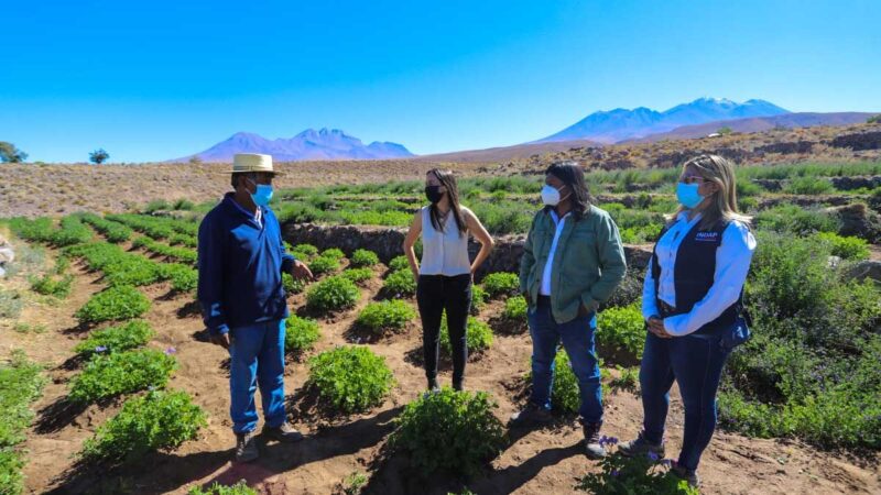 Ministra Undurraga visita la región de Antofagasta