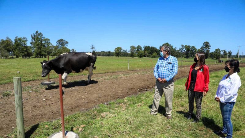 Ministra de Agricultura visita proyectos de investigación que buscan mejorar la sustentabilidad de la producción lechera