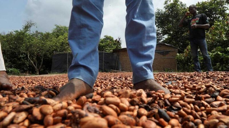 Nestlé dará dinero a los productores de cacao para mantener a los niños en la escuela