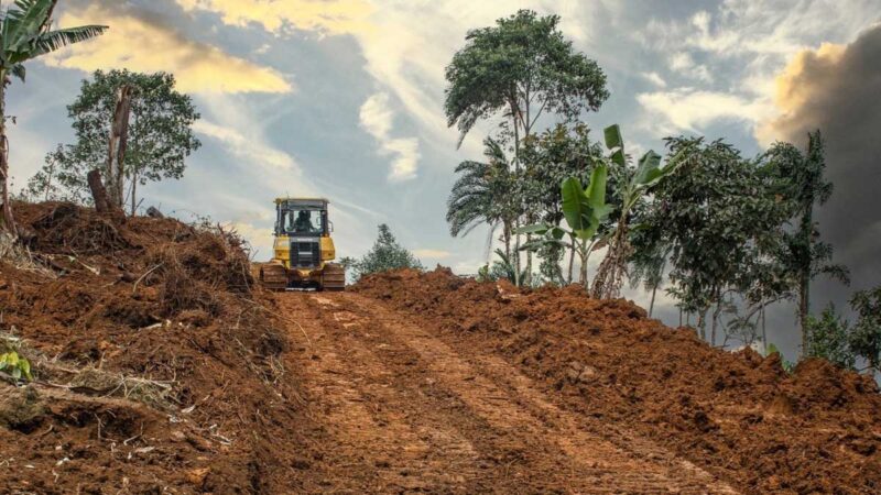 Fortalecemos la producción del cantón Santa Clara, a través de Sistemas de drenaje y plataformas agrícolas.
