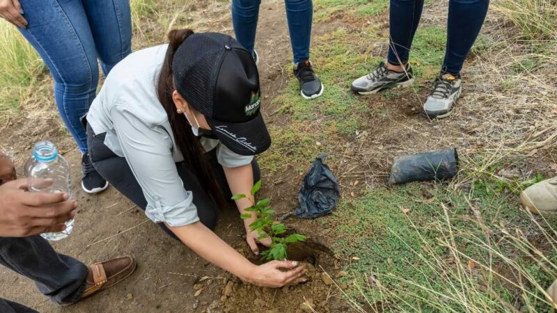 Prefectura realizó minga de limpieza y reforestación en parque Forestal de Portoviejo