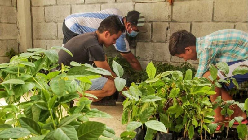Prefectura realizó varias actividades que ayudan al mejoramiento ambiental .