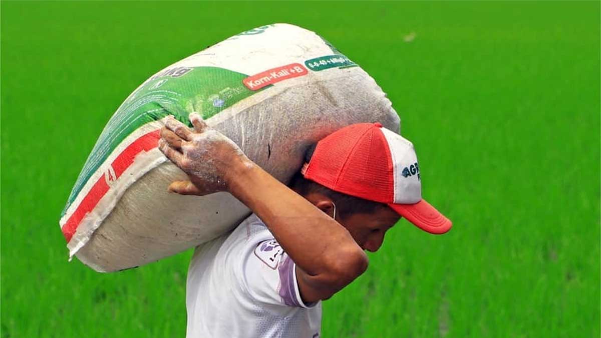 Productores ponen en práctica alternativas agroecológicas