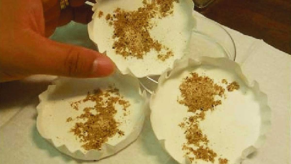 Lambayeque: promueven uso de insectos benéficos para proteger cultivos